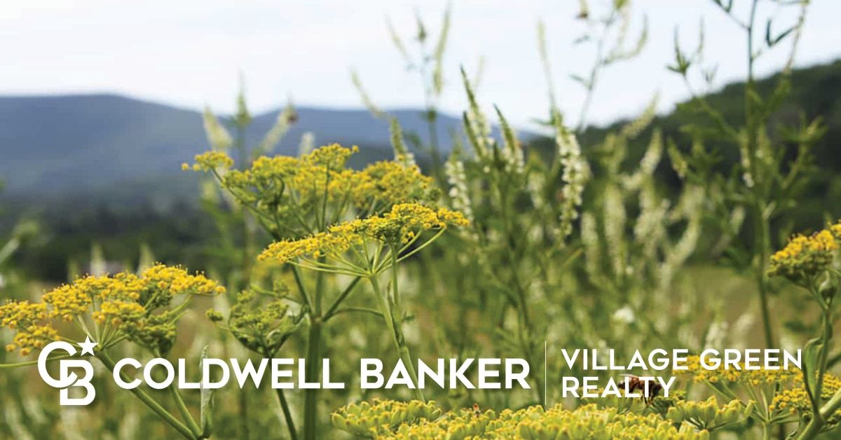 Ashland NY Real Estate Ashland Homes For Sale